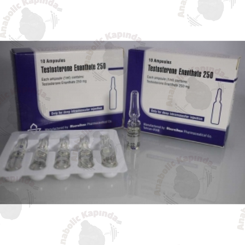 Aburaihan Testosterone Enanthate 250 Mg 10 Ampul