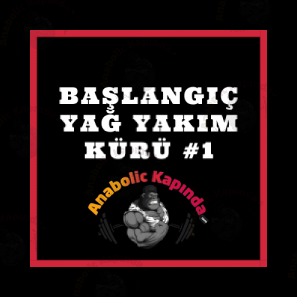 Başlangıç Yağ Yakım Kürü #1