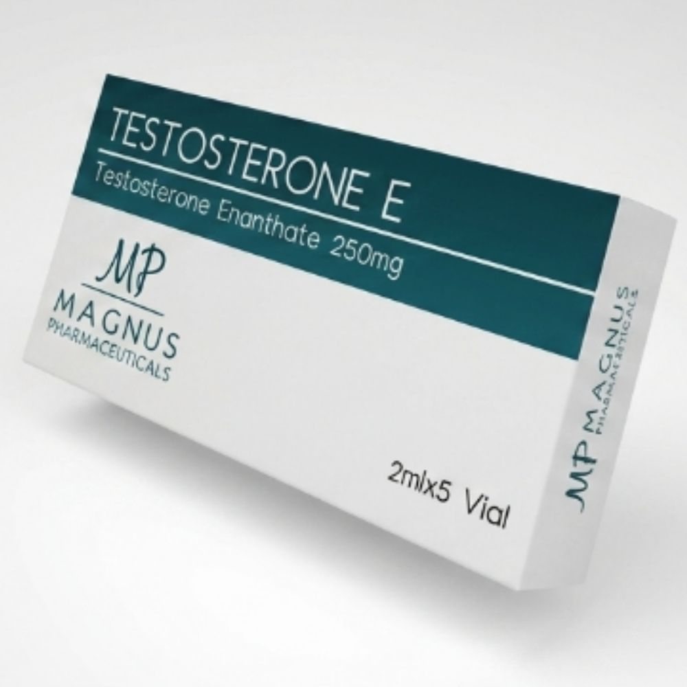 Magnus Pharma Testosteron Enanthate 250 Mg 5x2Ml Ampul